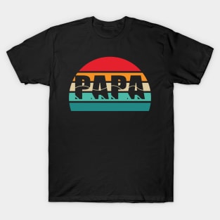 Papa Father's Day Present For Dad Daddy Dada Grandpa T-Shirt T-Shirt